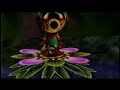 Majora\