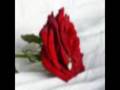 27 Dresses by Dennis P Shears