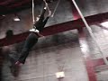 amNY.com and the Flying Trapeze amNY.com and the Flying Trapeze