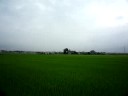 散歩200808.6