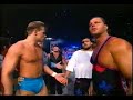 Sting/MachoMan