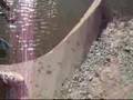 Fishing SJ
