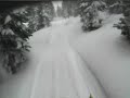 Cooke City \