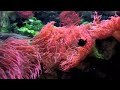 Underwaterworld - Aquarium Berlin Underwaterworld - Aquarium Berlin