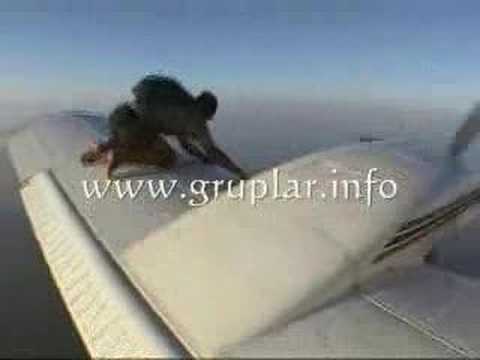 Airplane Dive