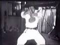Morio Higaonna Kata Video Part 2