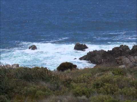vertrou short video.wmv