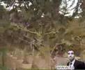 driss/mousqe assalam fask