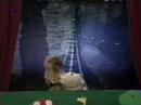 harald-schmidt-show-making-of-bimmel-und-bommel.html