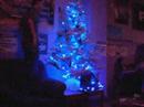 kerstboom 10 @ \ kerstboom 10 @ \