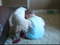 Edan and Sage playing Tug-of-War Edan and Sage playing Tug-of-War