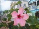 Belize 2008