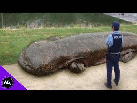 YouTube reptile video