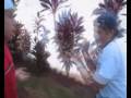 Maravilha Filmes - Papo Reto