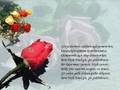 hozan be�ir ez kurbana wan �avete