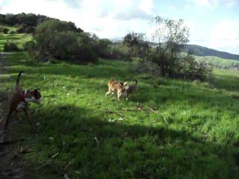 See video