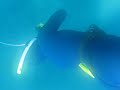 immersione in apnea #3
