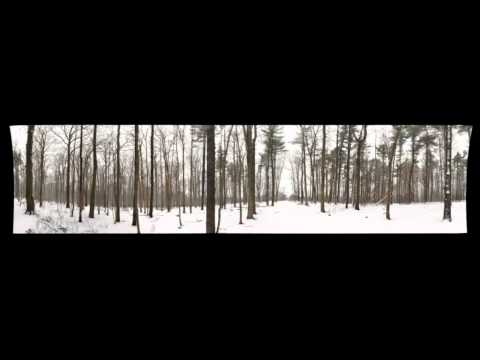 A year in an urban forest: Dairy Bush GigaPan 2009-2010