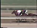 1989 Wood Memorial Easy Goer