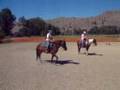 Our visit to 4 Seasons Marchadores Ranch in Hamilton Montana