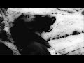 Gonjasufi - Advice