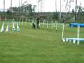 Ladys hopp III i Tidaholm