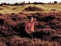 musikvideo