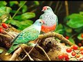 voyage � travers le pays