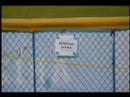 WCWS HOMERUN BALL