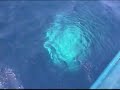 Shrinking Foam on a Research Cruise