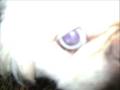 videos de Your a Mean one Mistress Joy (mr. grinch)