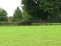 jack matfield 2