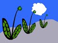 20 second animation