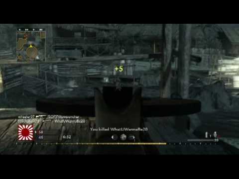 Call of Duty World at War FFA Dp-28