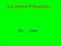 Los gitanos portugueses