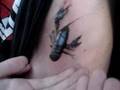 The Creyfish That Pinched Steven's Nipple.