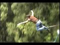 Bungee 8/nov/06 Ricky @ Costa Rica ,  Rio Colorado