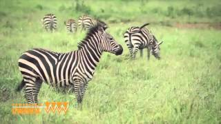 Ruanda: Trailer