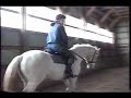 Guaranteed Gold - Cremello TB Stallion - Flat Work