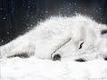 Wolf\