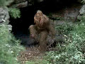 Messin With Sasquatch - Flaming Bag Messin With Sasquatch - Flaming Bag