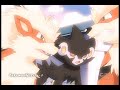 Arcanine and Houndoom - Phenomenon Arcanine and Houndoom - Phenomenon