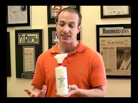 how to eliminate kennel odor