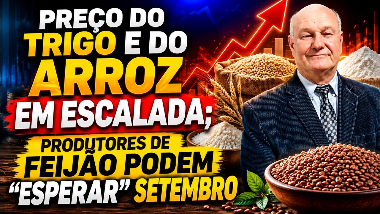 Preço do trigo e do arroz em escalada; produtores de feijão podem “esperar” setembro.