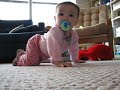 Joshu & Raiah 8 Joshu & Raiah 8