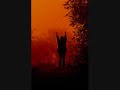 I Just Want You Vicki Yohe, Video by Crystal I Just Want You Vicki Yohe, Video by Crystal