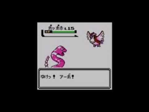 動画