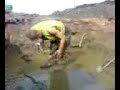 Workman\