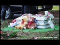 STORY HOW "2 YRS OLD" WAS MURDER - YouTube