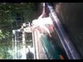 videos de kano dondert..